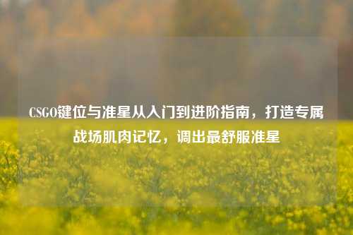 CSGO键位与准星从入门到进阶指南，打造专属战场肌肉记忆，调出最舒服准星