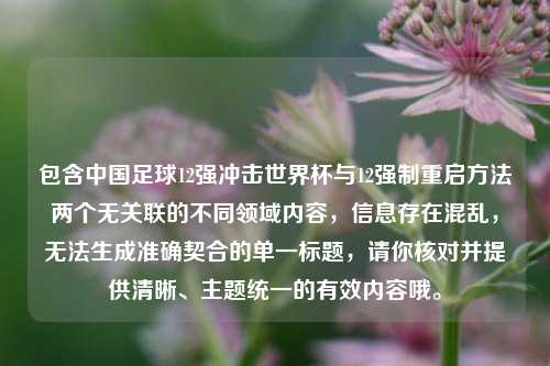 包含中国足球12强冲击世界杯与12强制重启方法两个无关联的不同领域内容,信息存在混乱,无法生成准确契合的单一标题,请你核对并提供清晰、主题统一的有效内容哦。
