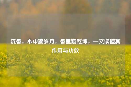 沉香,木中凝岁月,香里藏乾坤,一文读懂其作用与功效