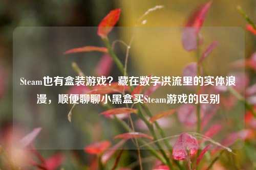Steam也有盒装游戏?藏在数字洪流里的实体浪漫,顺便聊聊小黑盒买Steam游戏的区别