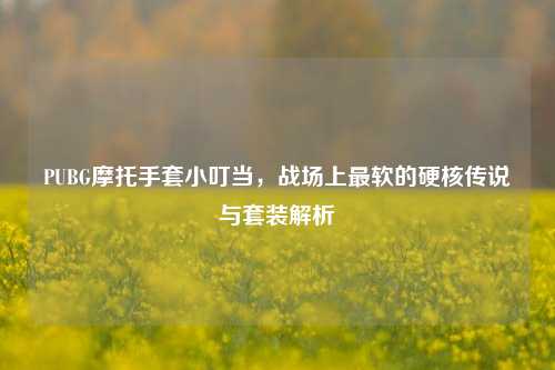 PUBG摩托手套小叮当，战场上最软的硬核传说与套装解析