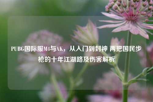 PUBG国际服M4与AK,从入门到封神 两把国民步枪的十年江湖路及伤害解析