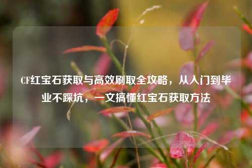 CF红宝石获取与高效刷取全攻略,从入门到毕业不踩坑,一文搞懂红宝石获取方法