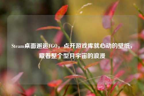 Steam桌面邂逅FGO，点开游戏库就心动的壁纸，藏着整个型月宇宙的浪漫