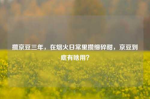 攒京豆三年，在烟火日常里攒细碎甜，京豆到底有啥用？