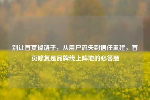 别让首页掉链子，从用户流失到信任重建，首页修复是品牌线上阵地的必答题