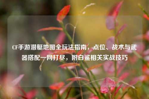 CF手游潜艇地图全玩法指南，点位、战术与武器搭配一网打尽，附白鲨相关实战技巧