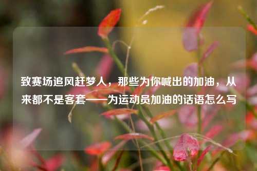 致赛场追风赶梦人，那些为你喊出的加油，从来都不是客套——为运动员加油的话语怎么写