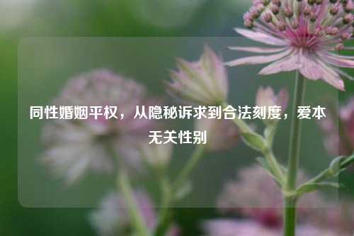 同性婚姻平权，从隐秘诉求到合法刻度，爱本无关性别