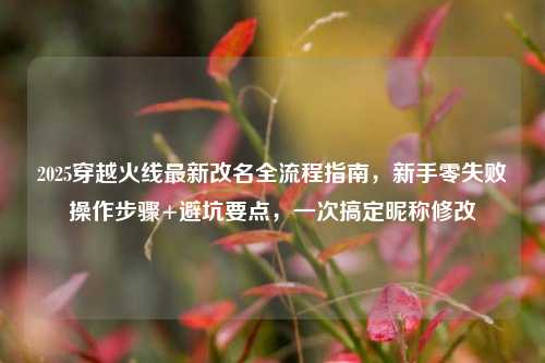 2025穿越火线最新改名全流程指南，新手零失败操作步骤+避坑要点，一次搞定昵称修改