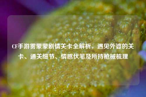 CF手游雾蒙蒙剧情关卡全解析，遇见外婆的关卡、通关细节、情感伏笔及所持枪械梳理