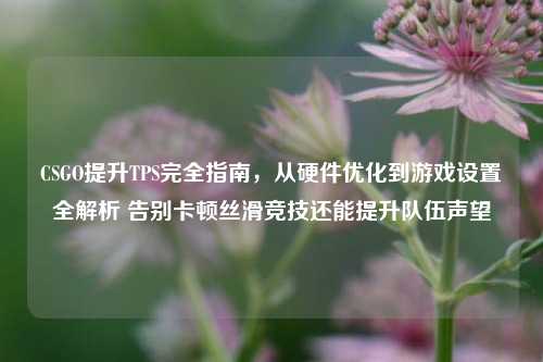 CSGO提升TPS完全指南，从硬件优化到游戏设置全解析 告别卡顿丝滑竞技还能提升队伍声望