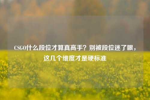 CSGO什么段位才算真高手?别被段位迷了眼,这几个维度才是硬标准