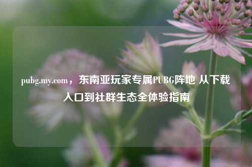 pubg.my.com,东南亚玩家专属PUBG阵地 从下载入口到社群生态全体验指南
