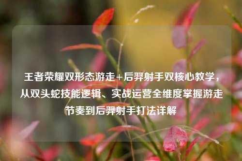 王者荣耀双形态游走+后羿射手双核心教学，从双头蛇技能逻辑、实战运营全维度掌握游走节奏到后羿射手打法详解