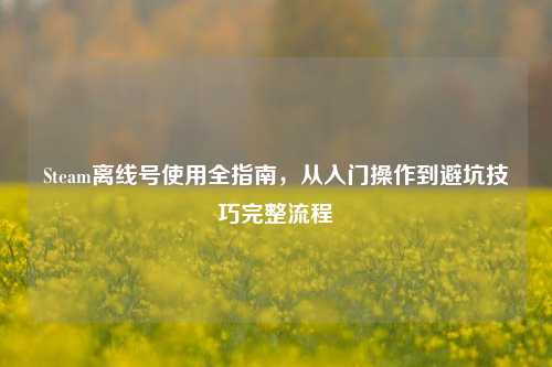 Steam离线号使用全指南，从入门操作到避坑技巧完整流程