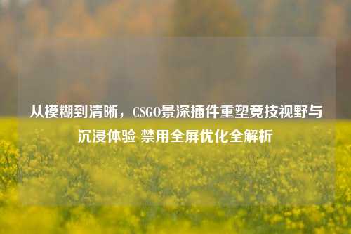 从模糊到清晰，CSGO景深插件重塑竞技视野与沉浸体验 禁用全屏优化全解析