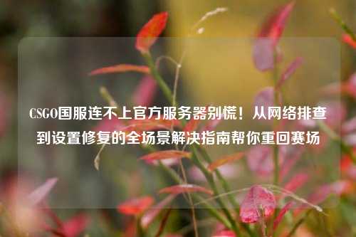 CSGO国服连不上官方服务器别慌！从网络排查到设置修复的全场景解决指南帮你重回赛场