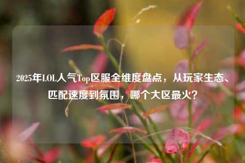 2025年LOL人气Top区服全维度盘点，从玩家生态、匹配速度到氛围，哪个大区最火？