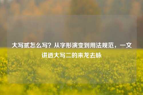 大写贰怎么写？从字形演变到用法规范，一文讲透大写二的来龙去脉
