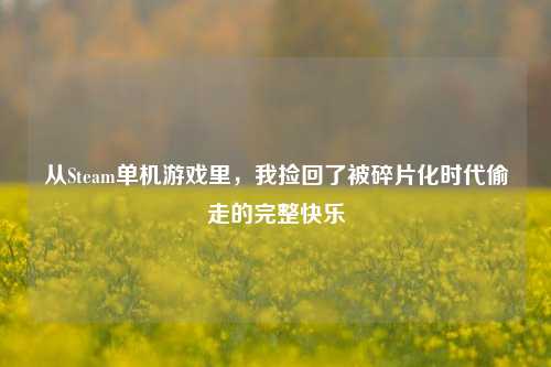 从Steam单机游戏里，我捡回了被碎片化时代偷走的完整快乐