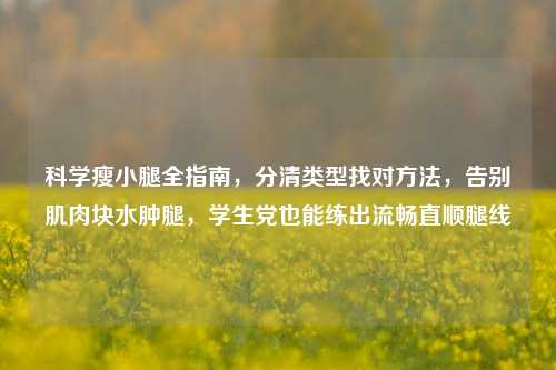 科学瘦小腿全指南,分清类型找对方法,告别肌肉块水肿腿,学生党也能练出流畅直顺腿线