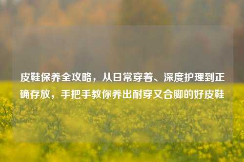 皮鞋保养全攻略，从日常穿着、深度护理到正确存放，手把手教你养出耐穿又合脚的好皮鞋