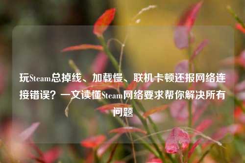 玩Steam总掉线、加载慢、联机卡顿还报网络连接错误？一文读懂Steam网络要求帮你解决所有问题