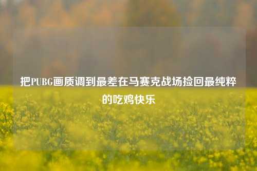 把PUBG画质调到最差在马赛克战场捡回最纯粹的吃鸡快乐