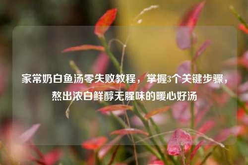 家常奶白鱼汤零失败教程,掌握3个关键步骤,熬出浓白鲜醇无腥味的暖心好汤