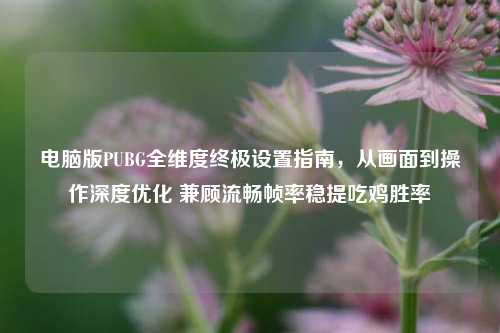 电脑版PUBG全维度终极设置指南，从画面到操作深度优化 兼顾流畅帧率稳提吃鸡胜率