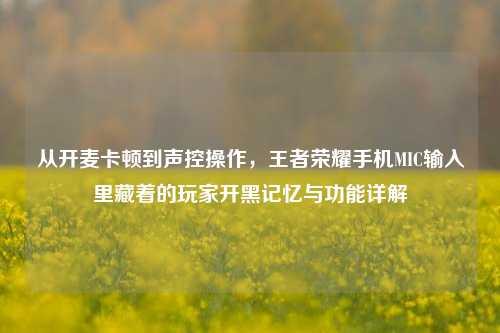 从开麦卡顿到声控操作，王者荣耀手机MIC输入里藏着的玩家开黑记忆与功能详解