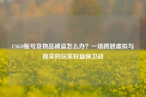CSGO账号及物品被盗怎么办?一场跨越虚拟与现实的玩家权益保卫战
