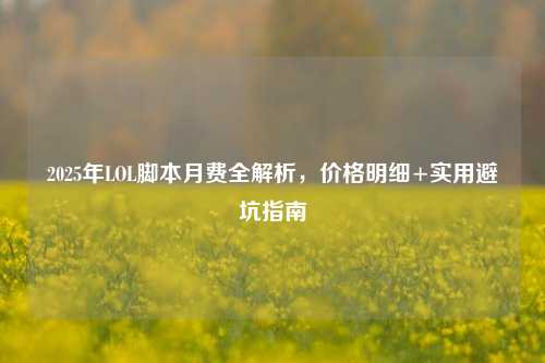 2025年LOL脚本月费全解析,价格明细+实用避坑指南