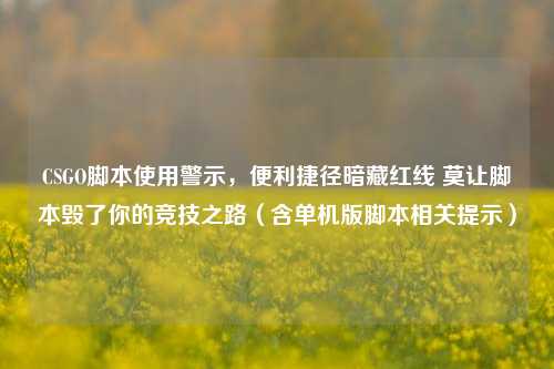 CSGO脚本使用警示，便利捷径暗藏红线 莫让脚本毁了你的竞技之路（含单机版脚本相关提示）