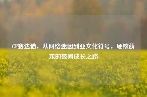 CF赛达猫,从网络迷因到亚文化符号,硬核萌宠的破圈成长之路