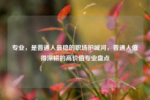 专业，是普通人最稳的职场护城河，普通人值得深耕的高价值专业盘点