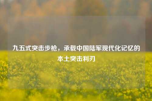 九五式突击步枪，承载中国陆军现代化记忆的本土突击利刃