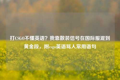 打CSGO不懂英语？我靠散装信号在国际服混到黄金段，附csgo英语骂人常用语句