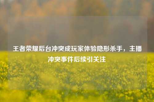 王者荣耀后台冲突成玩家体验隐形杀手,主播冲突事件后续引关注