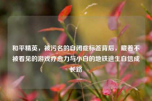和平精英,被污名的自闭症标签背后,藏着不被看见的游戏疗愈力与小白的地铁逃生自信成长路