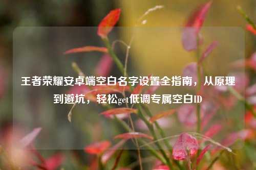 王者荣耀安卓端空白名字设置全指南，从原理到避坑，轻松get低调专属空白ID