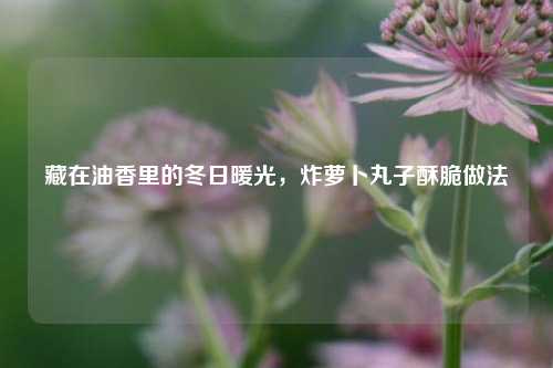 藏在油香里的冬日暖光,炸萝卜丸子酥脆做法