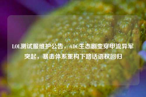 LOL测试服维护公告，ADC生态剧变穿甲流异军突起，暴击体系重构下路话语权回归