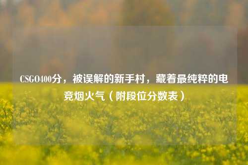 CSGO400分,被误解的新手村,藏着最纯粹的电竞烟火气(附段位分数表)
