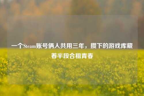 一个Steam账号俩人共用三年，攒下的游戏库藏着半段合租青春