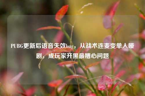 PUBG更新后语音失效bug,从战术连麦变单人哑剧,成玩家开黑最糟心问题