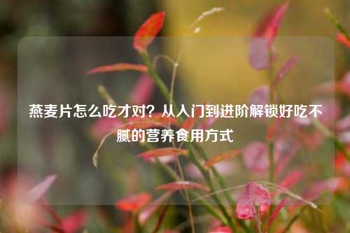 燕麦片怎么吃才对？从入门到进阶解锁好吃不腻的营养食用方式