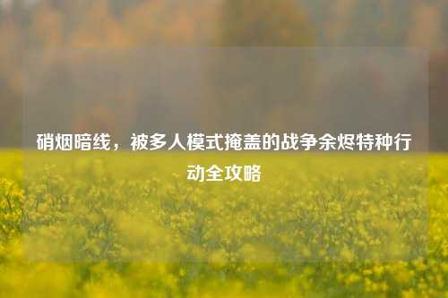 硝烟暗线，被多人模式掩盖的战争余烬特种行动全攻略
