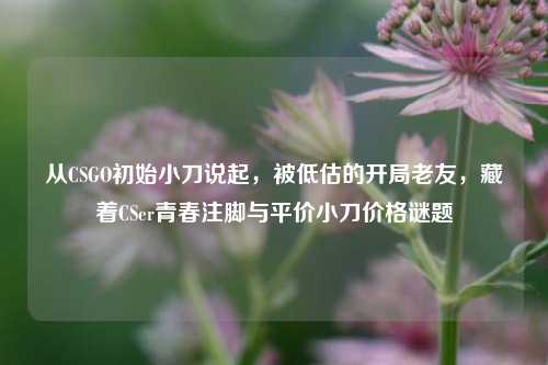 从CSGO初始小刀说起，被低估的开局老友，藏着CSer青春注脚与平价小刀价格谜题